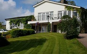 Clones 'Greenjoy - B&B